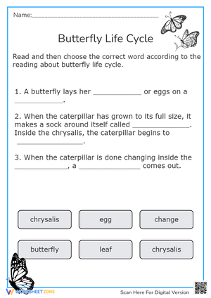 Butterfly life cycle
