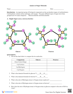 Analyzing Sugar Molecules Worksheet