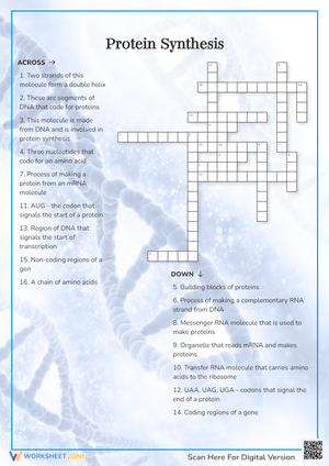 Protein Synthesis Crossword Puzzle