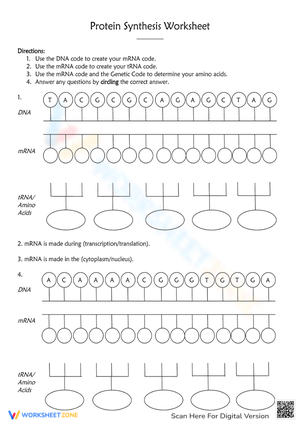 Protein Synthesis: Understanding Biology Concepts