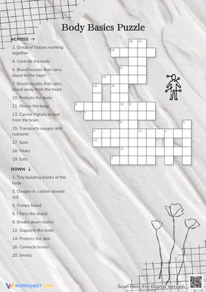 Body Basics Puzzle Crossword 