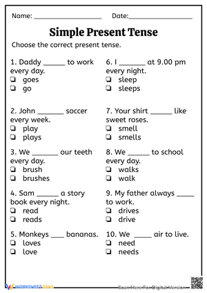 Simple Present Tense 2