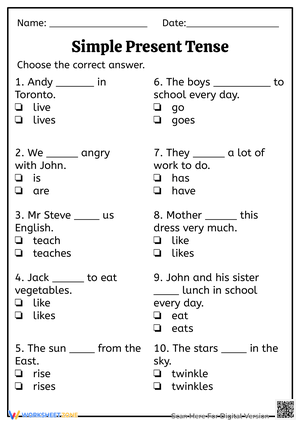 Simple Present Tense Practice