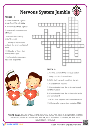 Nervous System Jumble Crossword Puzzle