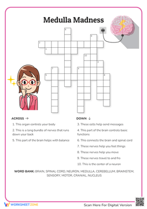 Medulla Madness Crossword Puzzle