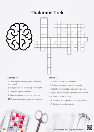 Thalamus Trek Crossword Puzzle