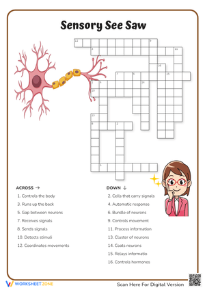 Sensory See Saw Crossword Puzzle