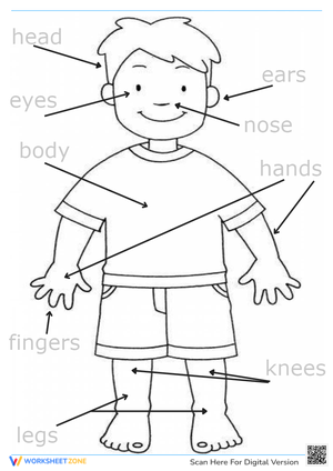Body Parts Identification with Fun Cartoon