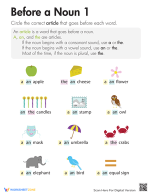 Using Articles Before Nouns Worksheet