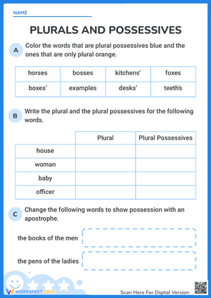 Plurals and Possessives: Grammar Essentials