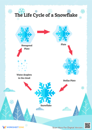 Snowflake Life Cycle Diagram - Science Worksheet for K-3 Kids