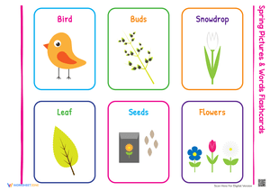 Spring Pictures and Words Flashcards for Kids