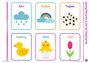 Spring Pictures and Words Flashcards for Education