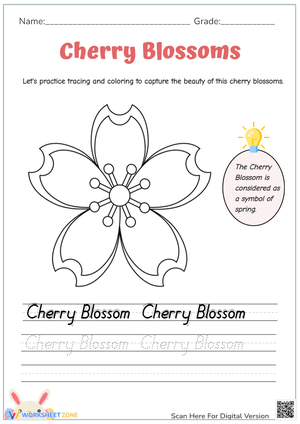 Cherry Blossom Tracing and Coloring