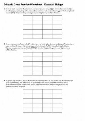 Dihybrid Cross Practice Worksheet | Essential Biology
