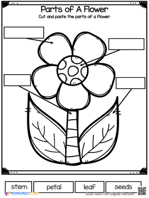 Flower Worksheet 1