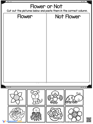 Flower Anatomy Worksheet for Kids