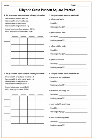 Printable Dihybrid Cross Worksheet | Grade 9-11 Biology