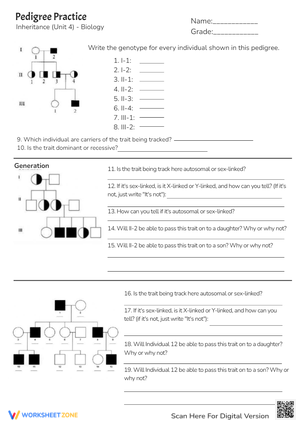 Pedigree Practice Worksheets