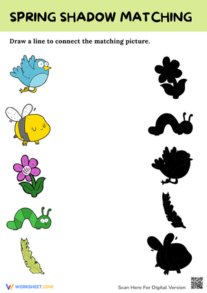Spring Shadow Matching Worksheet