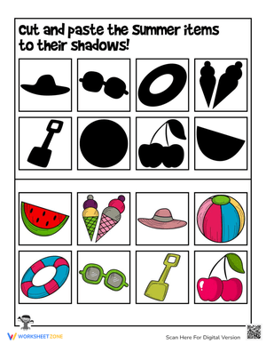 Summer Shadow Matching Game Activity