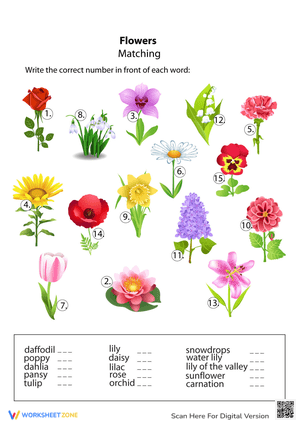 Flowers Matching Worksheet