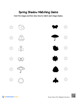 Spring Shadow Matching