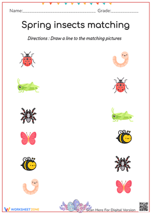 Spring insects matching