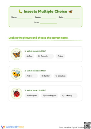Insects Vocabulary Worksheet | Grade 1-3 Essential