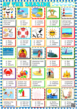At the Seaside multiple choice activity