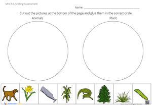 M-K-5-3_Sorting Assessment