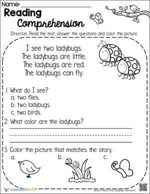 Reading Comprehension: Spring Story