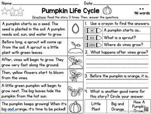 Reading Comprehension Passage: Pumpkin Life Cycle
