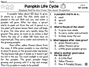 Reading Comprehension: Pumpkin Life Cycle
