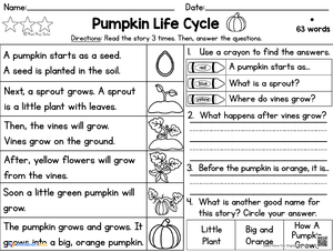 Pumpkin Life Cycle Reading Comprehension