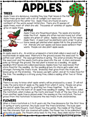 Apples Reading Comprehension Worksheet