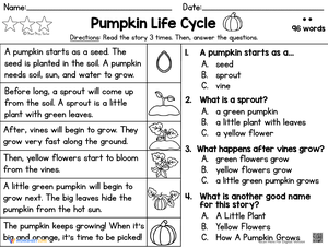 Explore the Pumpkin Life Cycle with Reading Comprehension