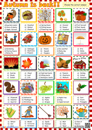 Autumn is back - multiple choice activity
