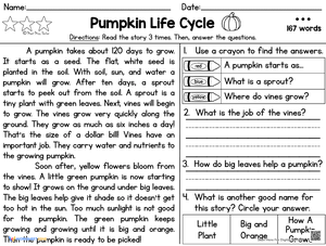 Reading: Pumpkin Life Cycle Comprehension