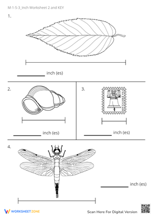 Measure the Objects! Inch Measurement Worksheet for Kids