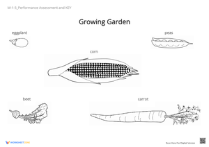 M-1-5_Performance Assessment and KEY