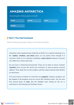 Grade 3 Antarctica Reading — Printable No-Prep Worksheet