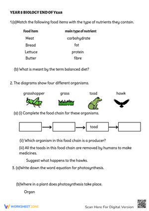 End of year Review Biology Year 8