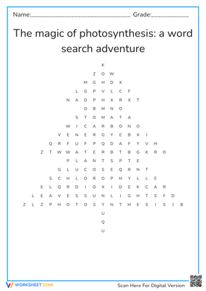 Photosynthesis Word Search