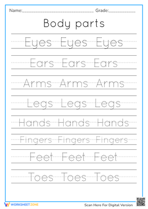 Body Parts