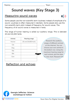 Sound Waves (Key Stage 3)