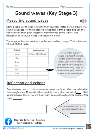 Sound Waves (Key Stage 3)
