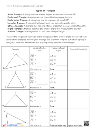Classify Triangles: Geometry Worksheet - Sides, Angles & Perimeter