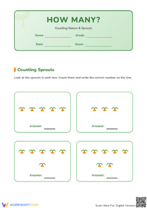 Essential Counting Worksheet | Kindergarten Math Ready