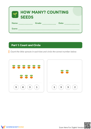 Counting Seeds Worksheet | Kindergarten Math Essential